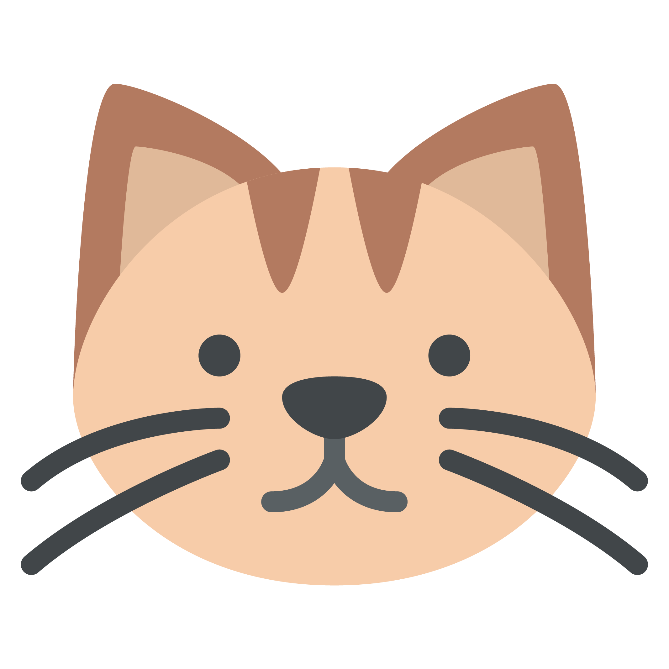 cat animal face avatar nature life pet